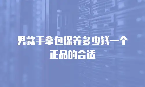 男款手拿包保养多少钱一个正品的合适