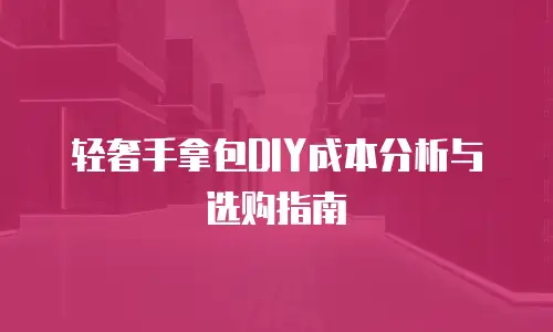 轻奢手拿包DIY成本分析与选购指南