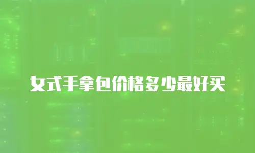 女式手拿包价格多少最好买