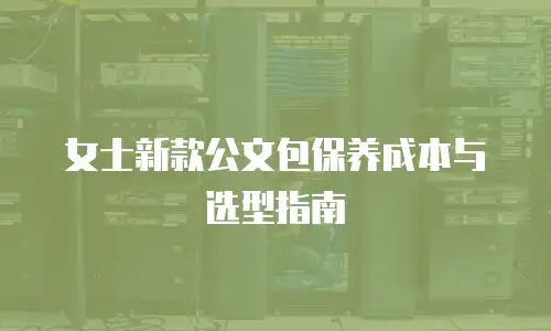 女士新款公文包保养成本与选型指南