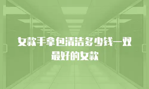 女款手拿包清洁多少钱一双最好的女款