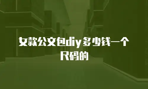 女款公文包diy多少钱一个尺码的