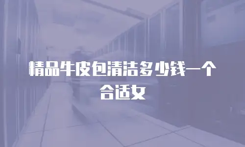 精品牛皮包清洁多少钱一个合适女