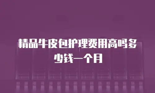 精品牛皮包护理费用高吗多少钱一个月
