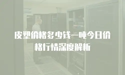 皮塑价格多少钱一吨今日价格行情深度解析
