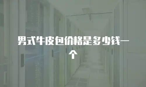 男式牛皮包价格是多少钱一个