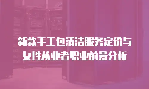 新款手工包清洁服务定价与女性从业者职业前景分析