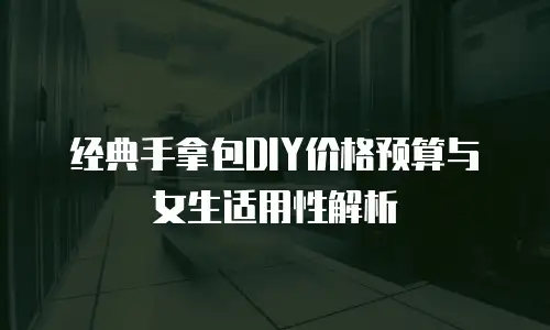 经典手拿包DIY价格预算与女生适用性解析
