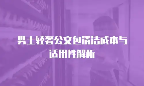 男士轻奢公文包清洁成本与适用性解析
