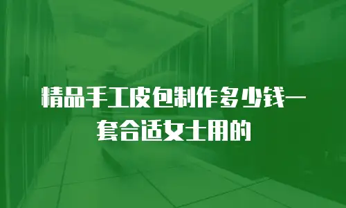 精品手工皮包制作多少钱一套合适女士用的