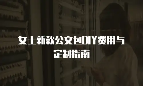 女士新款公文包DIY费用与定制指南