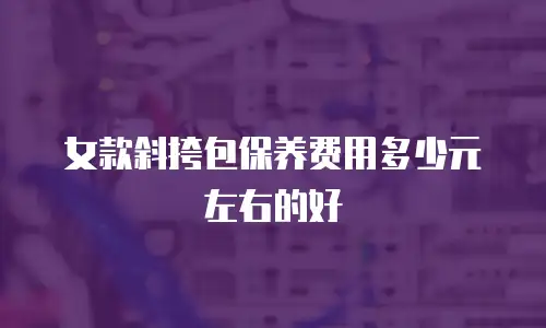 女款斜挎包保养费用多少元左右的好