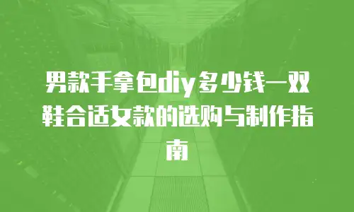 男款手拿包diy多少钱一双鞋合适女款的选购与制作指南