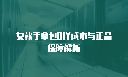 女款手拿包DIY成本与正品保障解析
