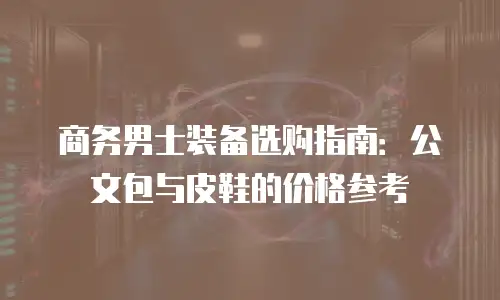 商务男士装备选购指南：公文包与皮鞋的价格参考