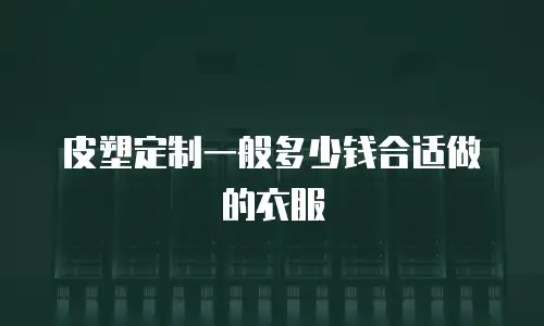 皮塑定制一般多少钱合适做的衣服