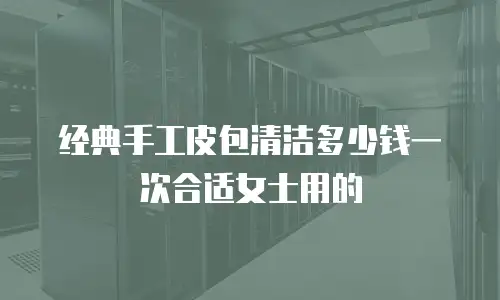 经典手工皮包清洁多少钱一次合适女士用的