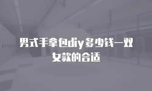 男式手拿包diy多少钱一双女款的合适