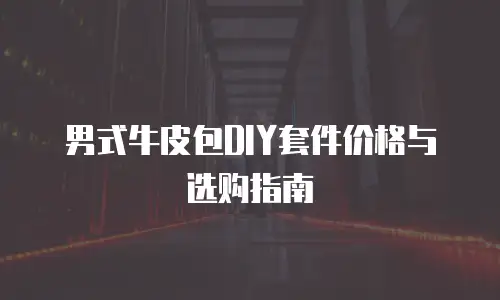 男式牛皮包DIY套件价格与选购指南