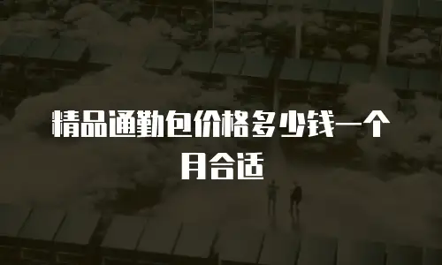 精品通勤包价格多少钱一个月合适