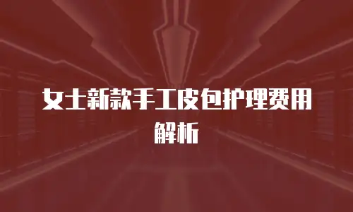 女士新款手工皮包护理费用解析