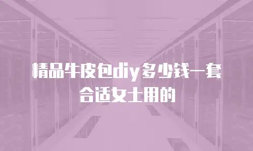 精品牛皮包diy多少钱一套合适女士用的