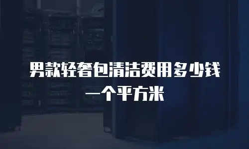 男款轻奢包清洁费用多少钱一个平方米