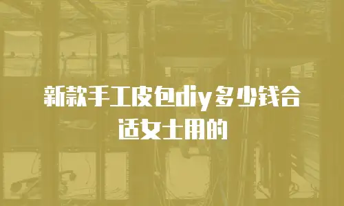新款手工皮包diy多少钱合适女士用的