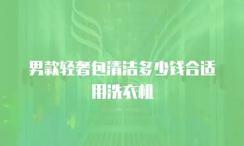 男款轻奢包清洁多少钱合适用洗衣机