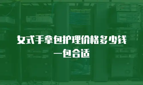 女式手拿包护理价格多少钱一包合适