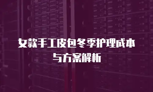女款手工皮包冬季护理成本与方案解析
