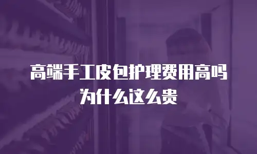 高端手工皮包护理费用高吗为什么这么贵