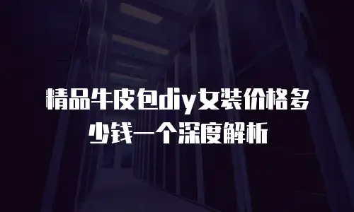 精品牛皮包diy女装价格多少钱一个深度解析