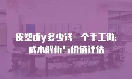 皮塑diy多少钱一个手工做：成本解析与价值评估