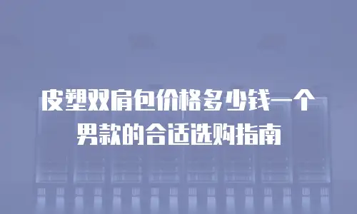 皮塑双肩包价格多少钱一个男款的合适选购指南