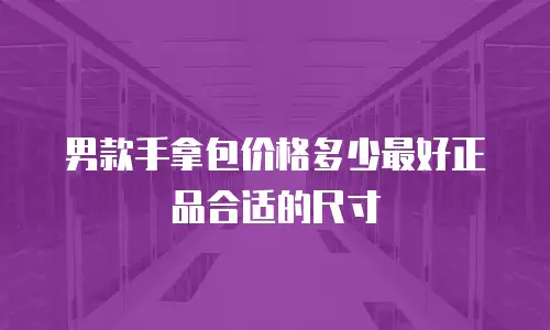 男款手拿包价格多少最好正品合适的尺寸