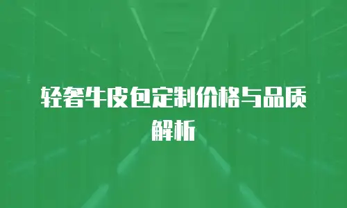 轻奢牛皮包定制价格与品质解析