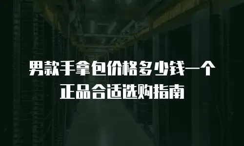 男款手拿包价格多少钱一个正品合适选购指南