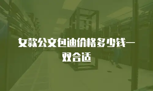 女款公文包迪价格多少钱一双合适