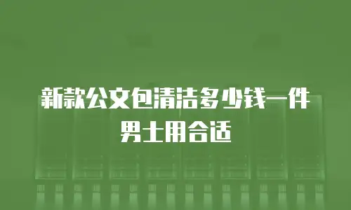 新款公文包清洁多少钱一件男士用合适