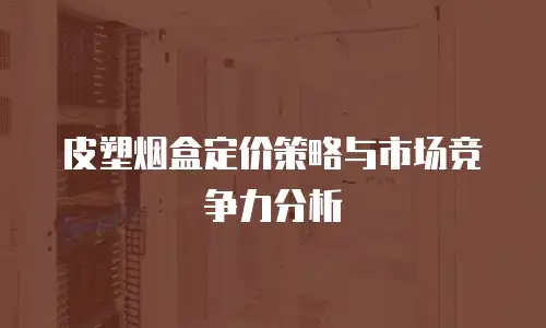 皮塑烟盒定价策略与市场竞争力分析