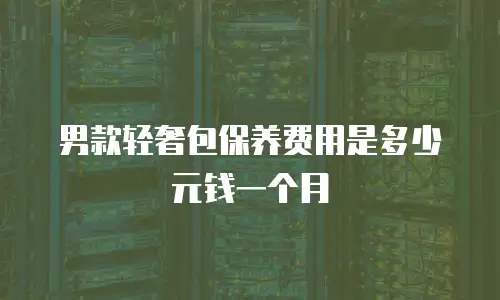 男款轻奢包保养费用是多少元钱一个月