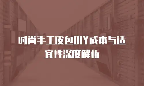 时尚手工皮包DIY成本与适宜性深度解析