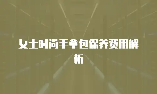 女士时尚手拿包保养费用解析