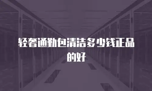 轻奢通勤包清洁多少钱正品的好