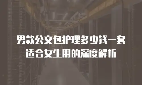 男款公文包护理多少钱一套适合女生用的深度解析