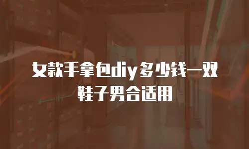 女款手拿包diy多少钱一双鞋子男合适用