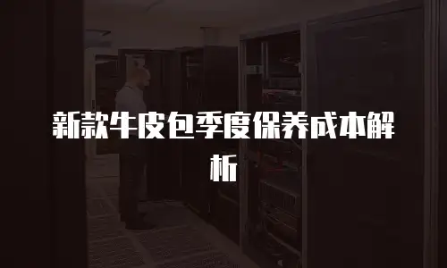 新款牛皮包季度保养成本解析
