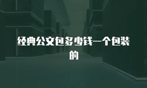 经典公文包多少钱一个包装的