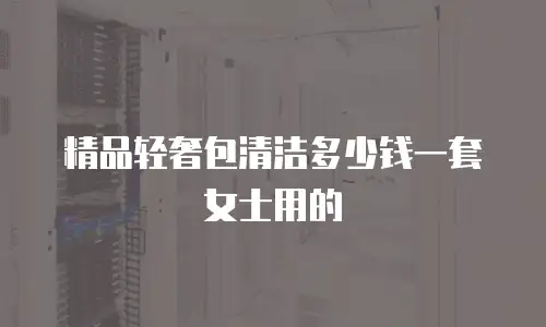 精品轻奢包清洁多少钱一套女士用的